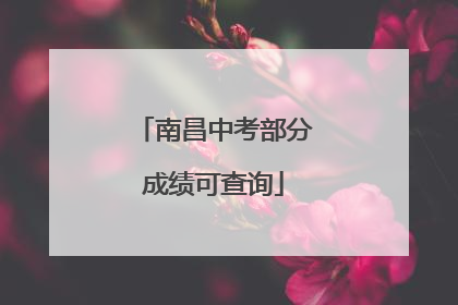 南昌中考部分成绩可查询