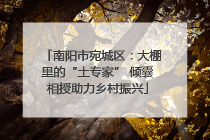 南阳市宛城区：大棚里的“土专家” 倾囊相授助力乡村振兴