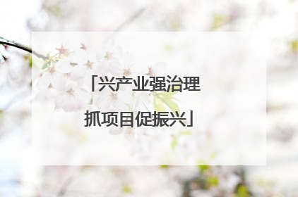 兴产业强治理 抓项目促振兴