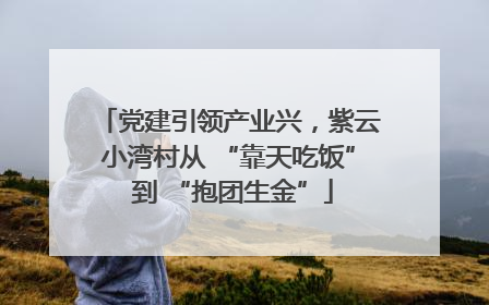 党建引领产业兴，紫云小湾村从 “靠天吃饭” 到 “抱团生金”