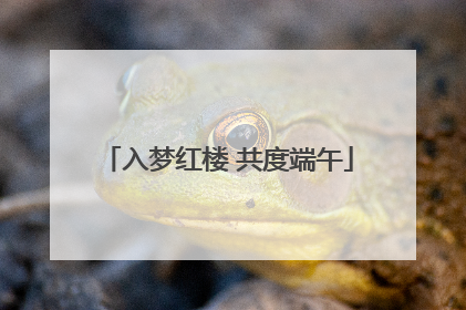 入梦红楼 共度端午