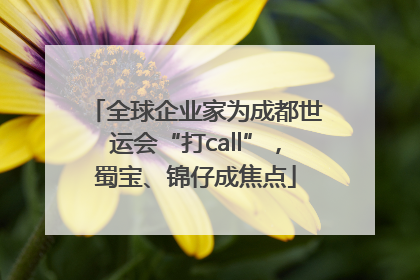 全球企业家为成都世运会“打call”，蜀宝、锦仔成焦点