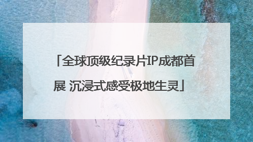 全球顶级纪录片IP成都首展 沉浸式感受极地生灵