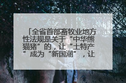 全省首部畜牧业地方性法规是关于“中华熊猫猪”的，让“土特产”成为“新国潮”，让“农产品”升格为“城市IP”