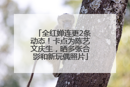 全红婵连更2条动态！卡点为陈艺文庆生，晒多张合影和新玩偶照片