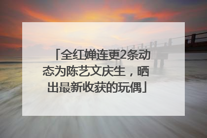 全红婵连更2条动态为陈艺文庆生，晒出最新收获的玩偶