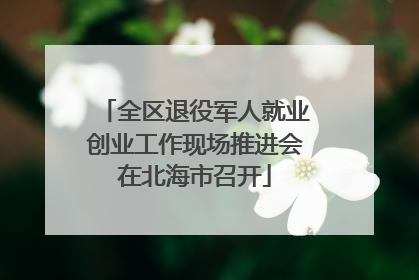 全区退役军人就业创业工作现场推进会在北海市召开