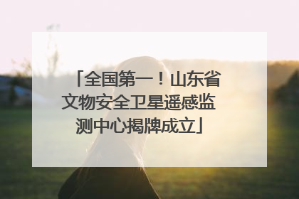 全国第一！山东省文物安全卫星遥感监测中心揭牌成立