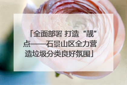 全面部署 打造“靓” 点——石景山区全力营造垃圾分类良好氛围