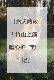 六天两救！竹山上演暖心护“野”记