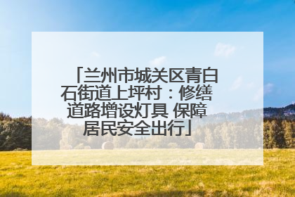 兰州市城关区青白石街道上坪村：修缮道路增设灯具 保障居民安全出行