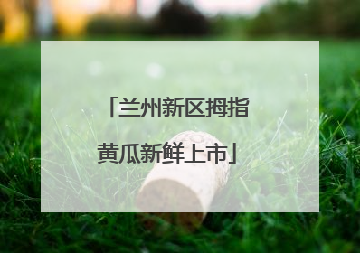 兰州新区拇指黄瓜新鲜上市