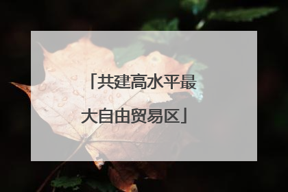 共建高水平最大自由贸易区