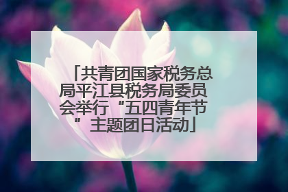 共青团国家税务总局平江县税务局委员会举行“五四青年节”主题团日活动