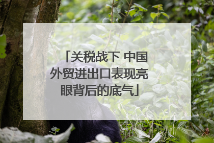 关税战下 中国外贸进出口表现亮眼背后的底气