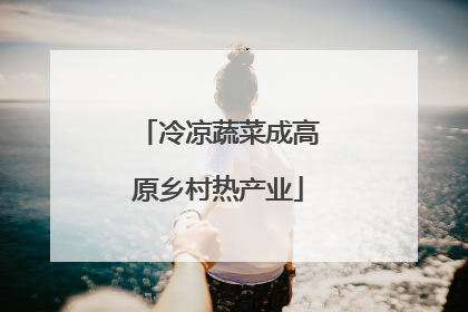 冷凉蔬菜成高原乡村热产业