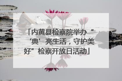 内黄县检察院举办“‘典’亮生活，守护美好”检察开放日活动
