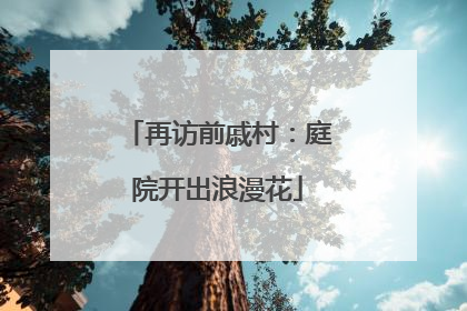再访前戚村：庭院开出浪漫花