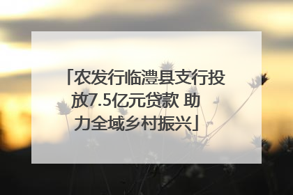 农发行临澧县支行投放7.5亿元贷款 助力全域乡村振兴