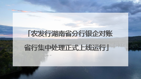 农发行湖南省分行银企对账省行集中处理正式上线运行