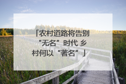 农村道路将告别“无名”时代 乡村何以“著名”