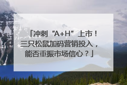 冲刺“A+H”上市！三只松鼠加码营销投入，能否重振市场信心？