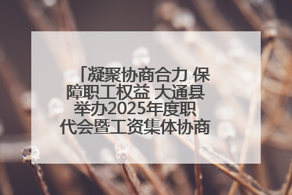 凝聚协商合力 保障职工权益 大通县举办2025年度职代会暨工资集体协商现场观摩交流活动