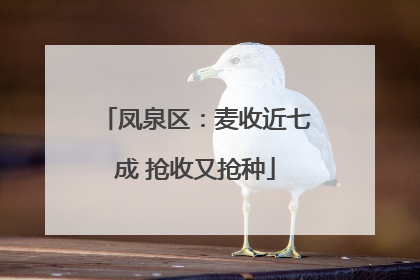 凤泉区：麦收近七成 抢收又抢种