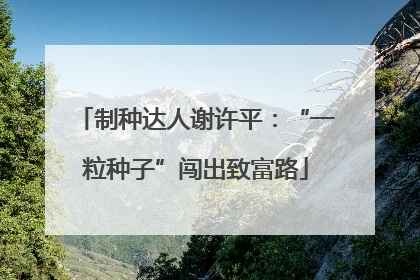 制种达人谢许平：“一粒种子”闯出致富路
