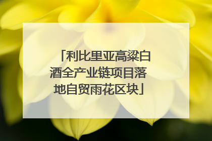 利比里亚高粱白酒全产业链项目落地自贸雨花区块