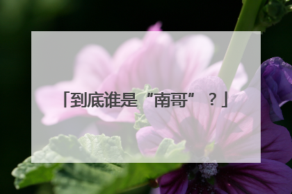 到底谁是“南哥”？