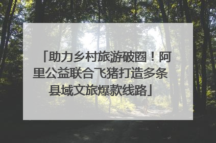 助力乡村旅游破圈！阿里公益联合飞猪打造多条县域文旅爆款线路