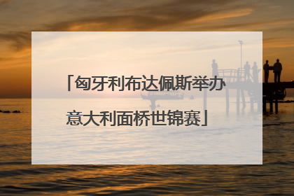 匈牙利布达佩斯举办意大利面桥世锦赛