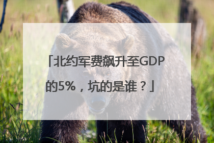 北约军费飙升至GDP的5%，坑的是谁？
