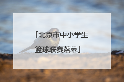 北京市中小学生篮球联赛落幕