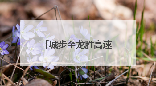 城步至龙胜高速最大限速调整至120公里/小时