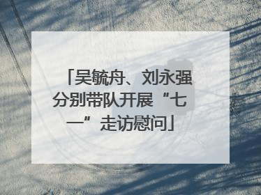 吴毓舟、刘永强分别带队开展“七一”走访慰问