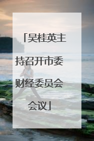 吴桂英主持召开市委财经委员会会议