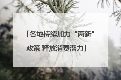各地持续加力“两新”政策 释放消费潜力