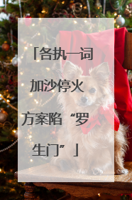 各执一词 加沙停火方案陷“罗生门”
