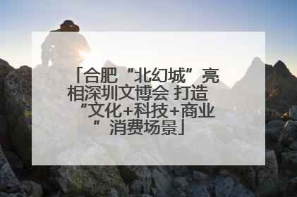 合肥“北幻城”亮相深圳文博会 打造“文化+科技+商业”消费场景