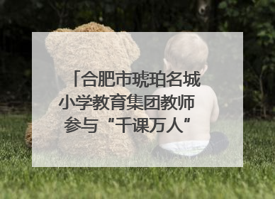 合肥市琥珀名城小学教育集团教师参与“千课万人”数学论坛活动