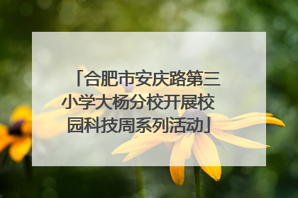 合肥市安庆路第三小学大杨分校开展校园科技周系列活动