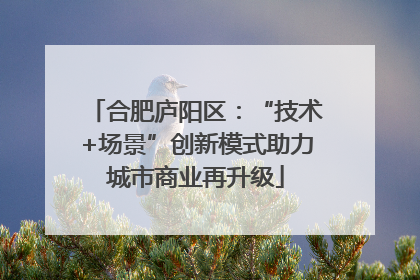 合肥庐阳区：“技术+场景”创新模式助力城市商业再升级