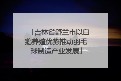 吉林省舒兰市以白鹅养殖优势推动羽毛球制造产业发展