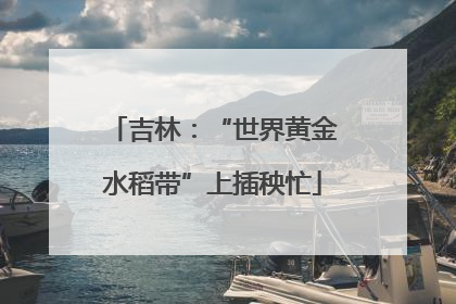 吉林：“世界黄金水稻带”上插秧忙