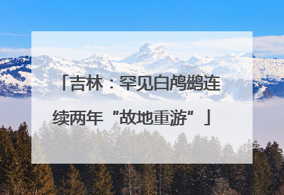 吉林：罕见白鸬鹚连续两年“故地重游”