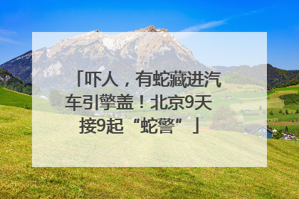 吓人，有蛇藏进汽车引擎盖！北京9天接9起“蛇警”