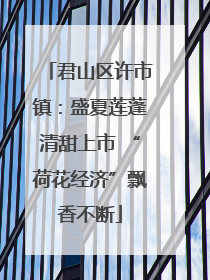 君山区许市镇：盛夏莲蓬清甜上市 “荷花经济”飘香不断