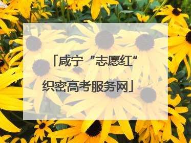 咸宁“志愿红”织密高考服务网